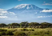 Climbing Kilimanjaro: Africa’s Highest Mountain, Honestly The highest mountain in Africa