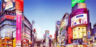Tokyo Guide: From Temples to Neon Lights