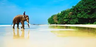 Rental housing in Goa for every taste
