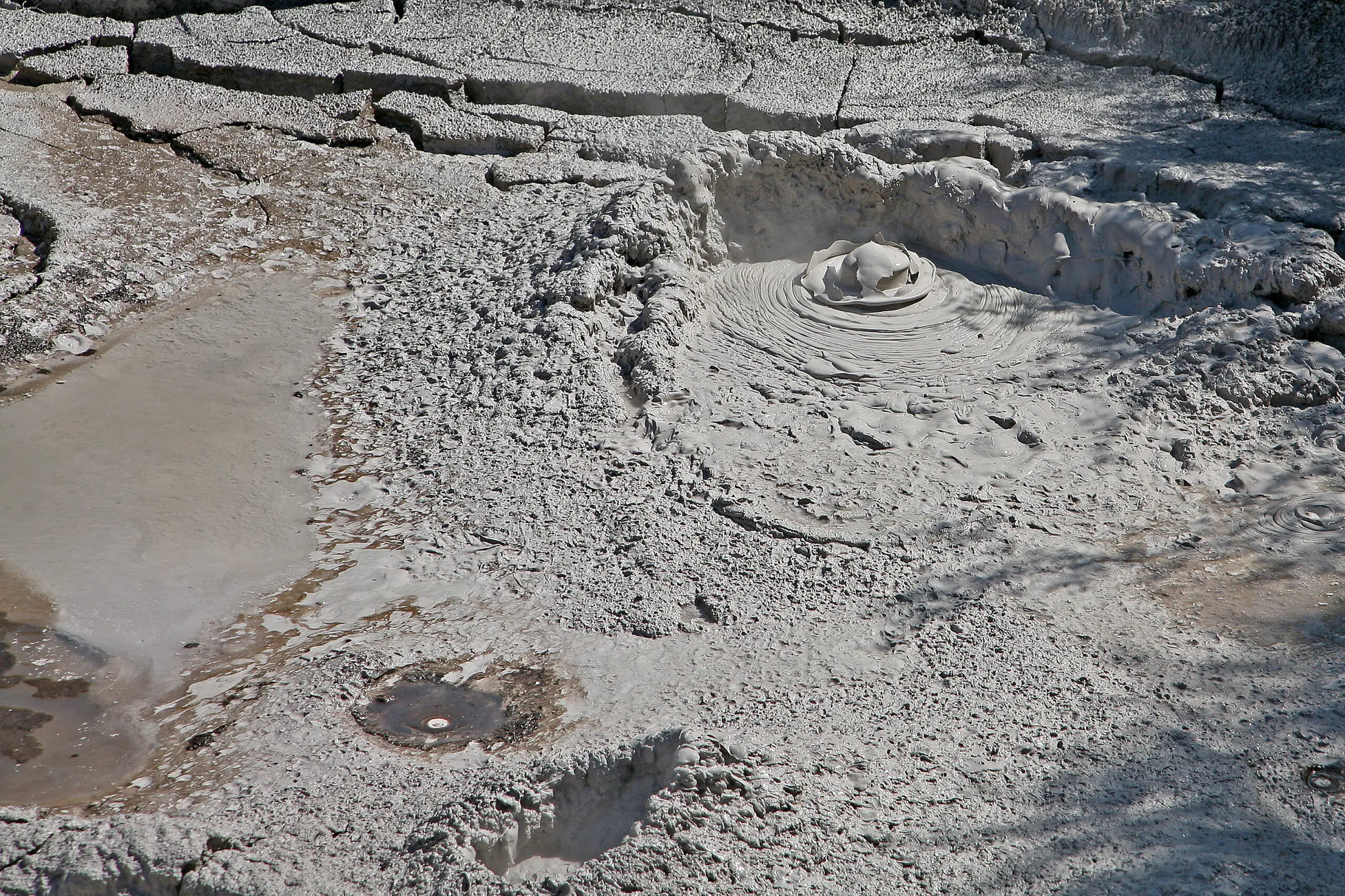 A boiling mud pool at Rotorua
