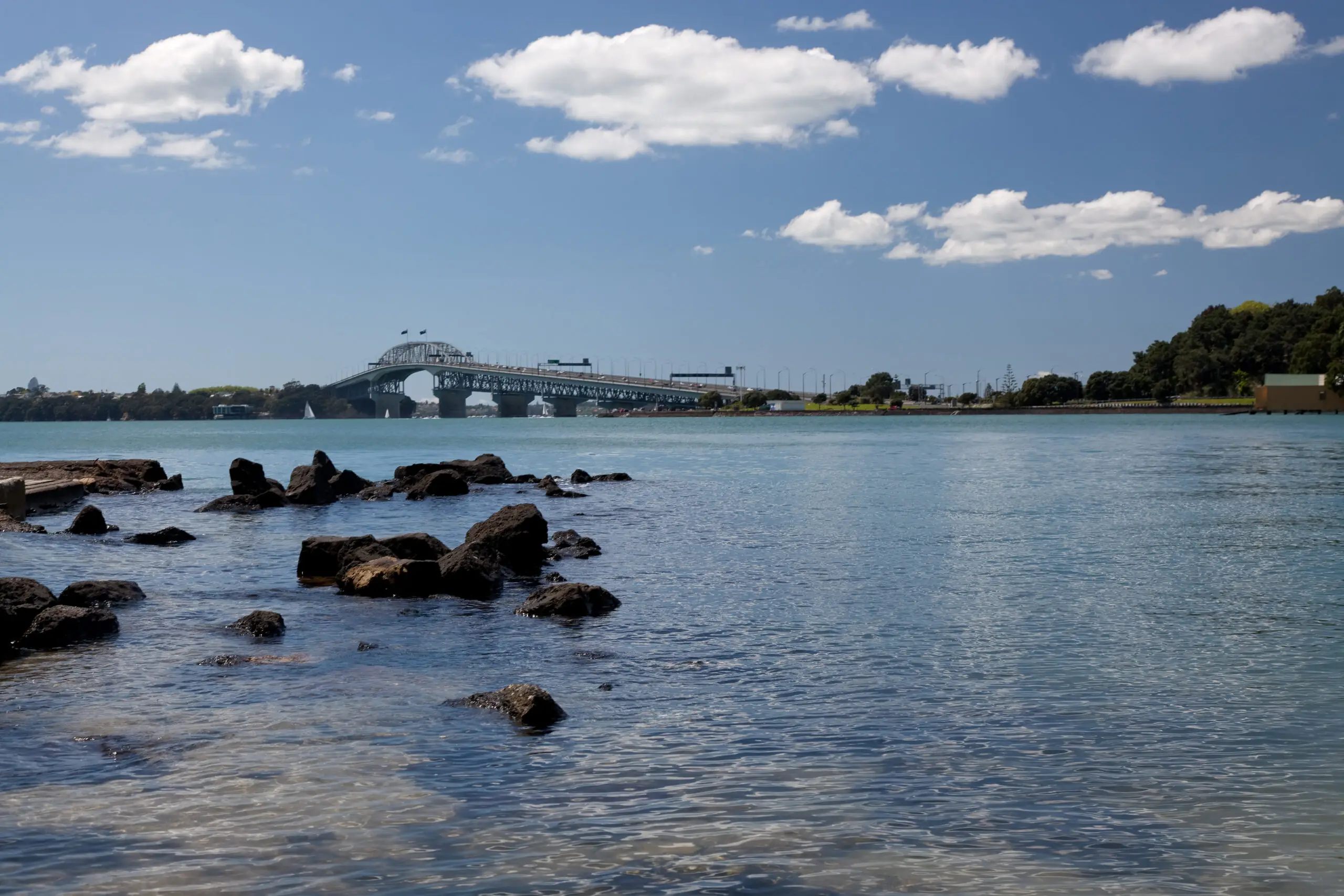 Auckland harbour