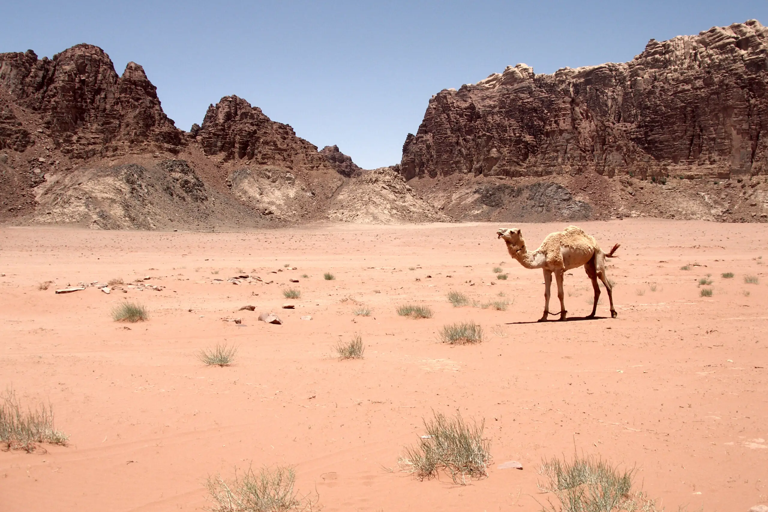 Wadi Rum, Jordan