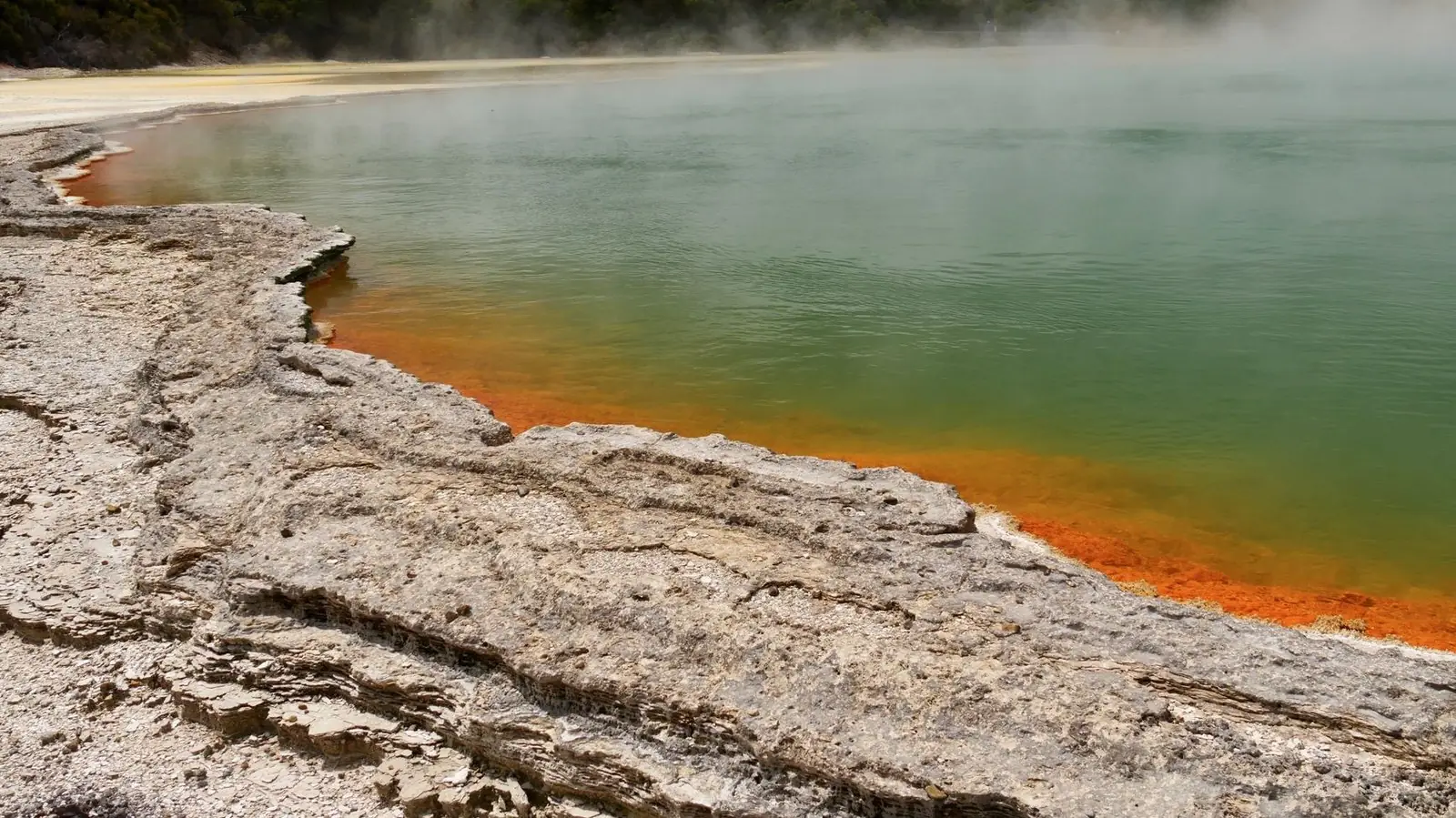 The steaming Champagne Pool with its orange rim at Wai-O-Tapu, near Rotorua