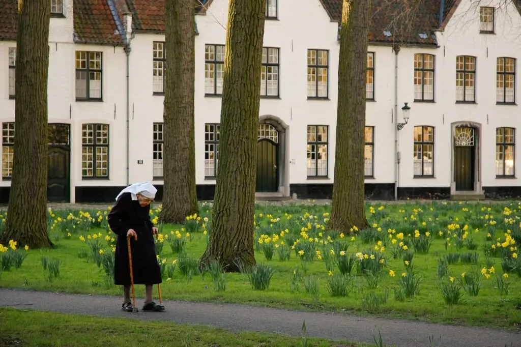 A beguine walking past the whitewashed houses of the Begijnhof in Bruges among daffodils