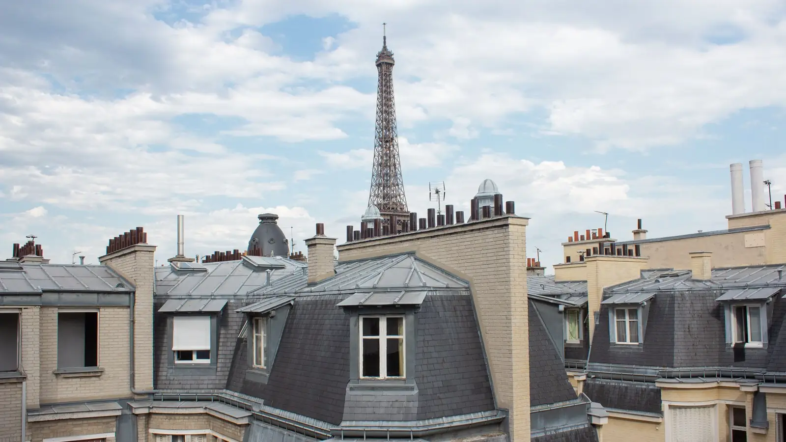 Haussmann rooftops of Paris with the Eiffel Tower rising behind them