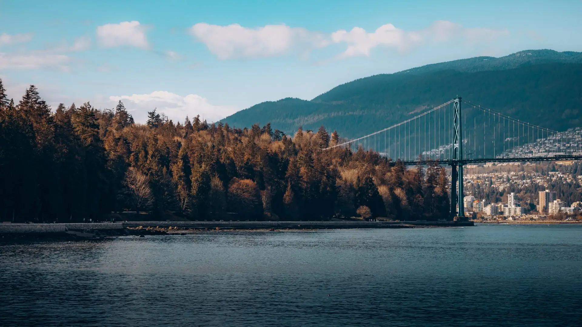Lions Gate Bridge and Stanley Park forest in Vancouver